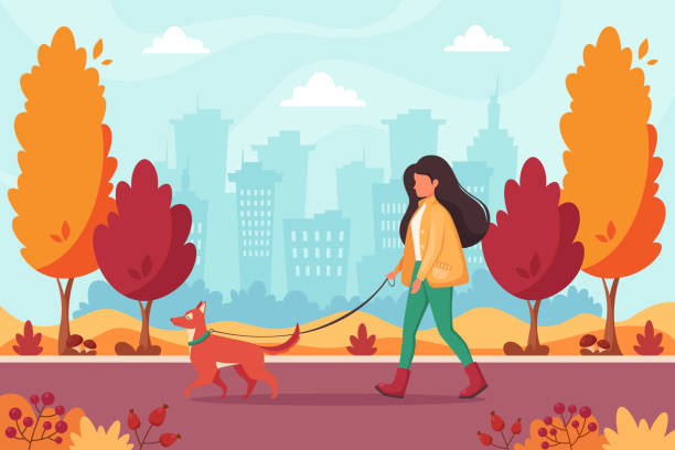 stockillustraties, clipart, cartoons en iconen met woman walking with dog in autumn park. outdoor activity concept. vector illustration. - herfst vrouw