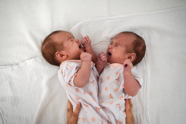 istock Twins in their first months of life 1329393521