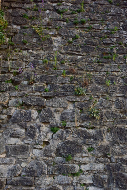 istock The pavement is lined with cobblestones of various sizes and shapes, through which grass sprouts in the upper part of the frame 1329394224