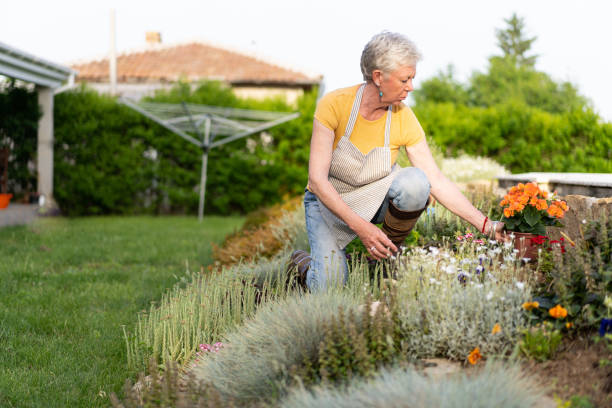 istock Wearing an apron to protect her clothes while gardening 1329398353