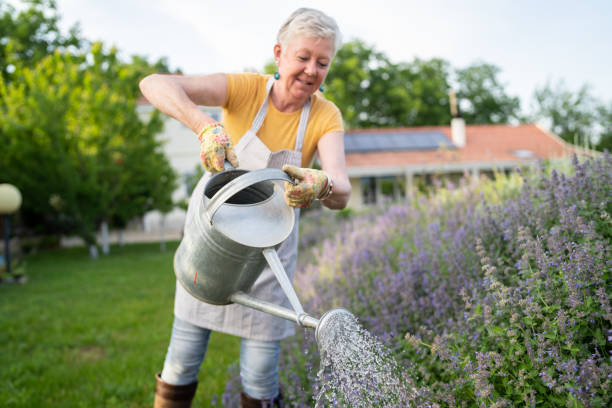 istock A silver-haired lady is sprinkling water over her flowerbed 1329398358