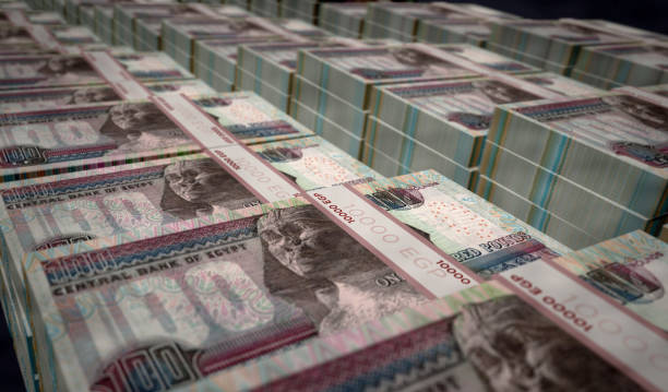 istock Egyptian Pound money banknotes pack illustration 1329399087