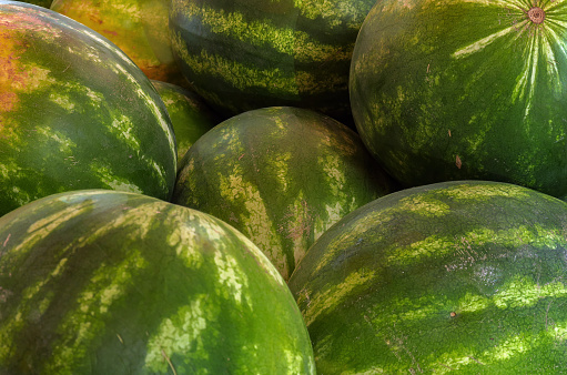 A bunch of striped watermelons laid on dried straw. For sale at an outdoor fruit stand.