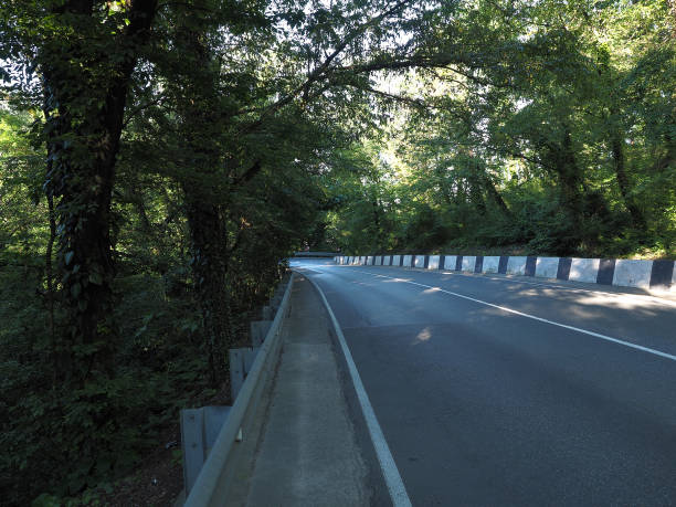 istock An asphalt road with deciduous forest on both sides. South road serpentine 1329401097