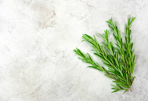 istock A bunch of rosemary on a light marble background. 1329401884