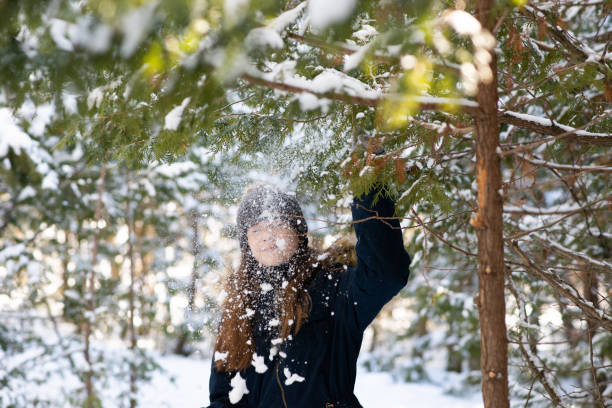 istock Young Girl in Forest 1329402001