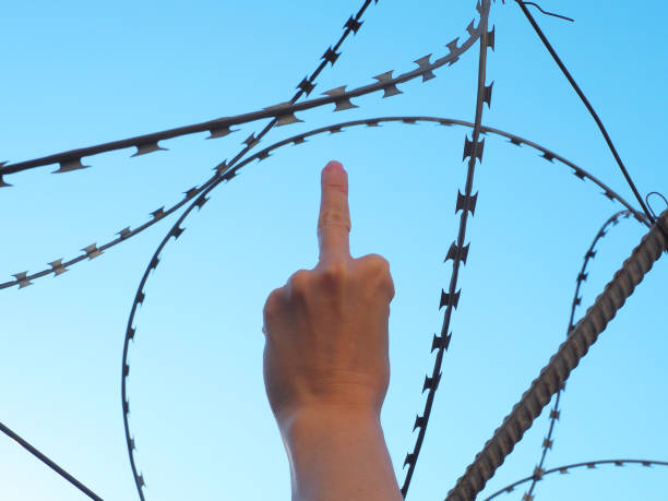istock Hand showing middle finger on background of barbed wire and blue sky 1329402030