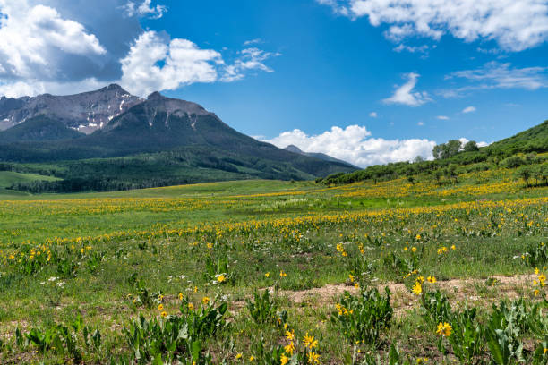istock Beautiful mountain scenery in Colorado 1329403775