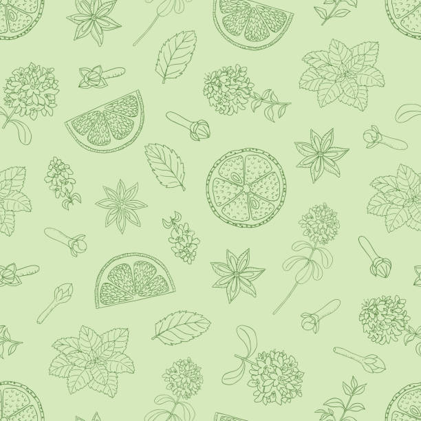 seamless pattern with tea herbs collection 3-03 Vector hand draw seamless pattern with different tea herbs and lemon slices Cardamom stock illustrations