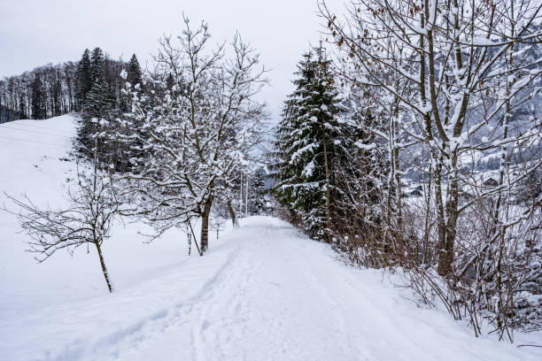 istock Winter landscape in the mountains 1329408824