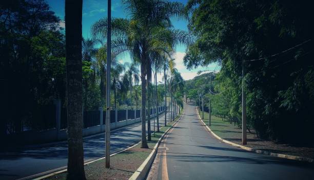 istock photo of a road through nature 1329412859
