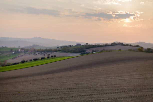 Agriculture fields in Macerata Marche Italy Agriculture Cultivated Hills near Macerata Marche Italy at Sunset macerata italy stock pictures, royalty-free photos & images