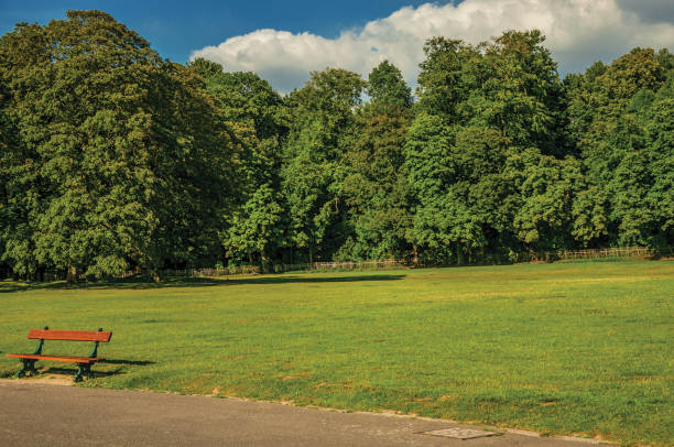 istock Bench on lawn with trees at Park of Brussels 1329419595