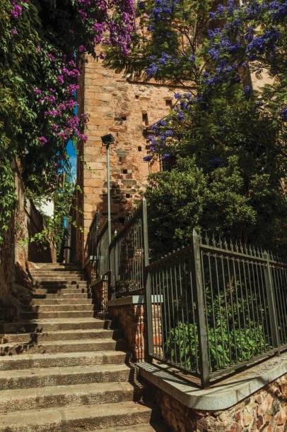 istock Staircase and old building with trees at Caceres 1329419657