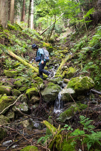 istock Hiker crossing a small mountain stream 1329426686