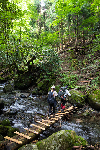 Two hikers with backpacks and hiking poles cross a small wood bridge over a mountain stream with a lush forest background.