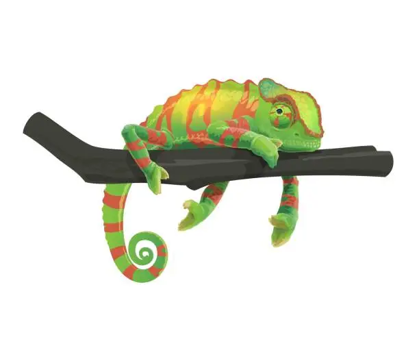 Vector illustration of Green chameleon lizard lying on tree branch