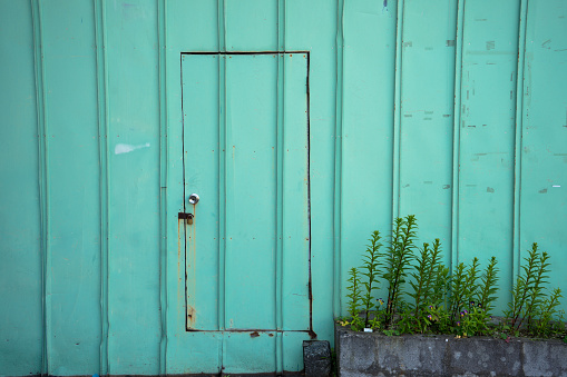 Small green door