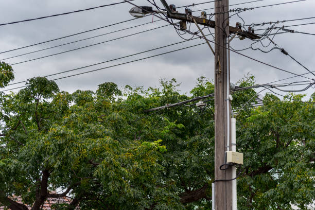 istock Trees growing around power lines is a hazard 1329429439