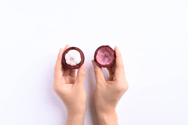 Peeled mangosteen fruit holding by hand on white background