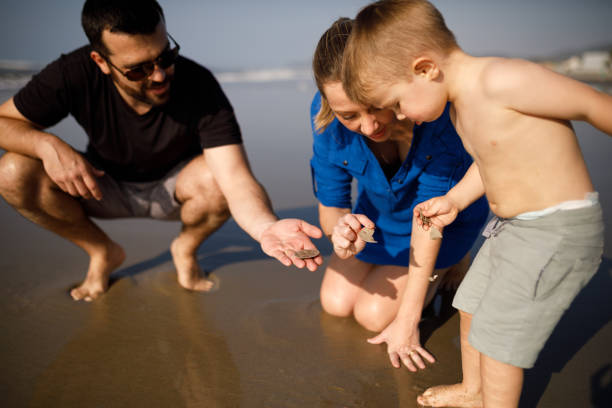 istock Family looking to the seashells they found 1329432632