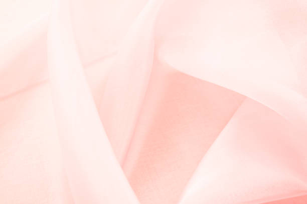 istock Elegant display of organdy fiber 1329438608