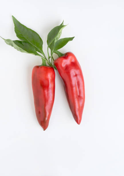 Large, red "Corno di Toro", or "Bull's Horn" Italian, sweet peppers isolated on white background.