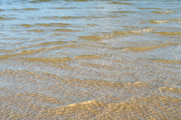 Low tide of the Beach