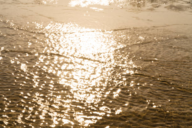 Low tide of the Beach
