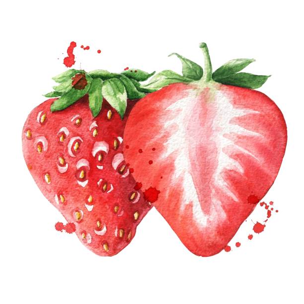 istock Two strawberries on white background with colour stains. Watercolor food illustration. 1329445528