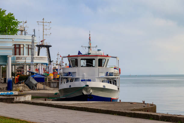 istock Cargo ships in Batumi sea port, Georgia 1329446389