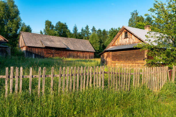 Two old, wooden barns situated between green trees, on a meadow. Forest in the background. Krasnobród, Roztocze, Poland.