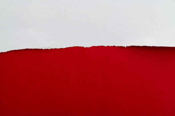 istock Background of torn white paper 1329456555