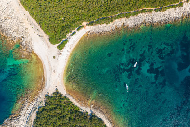 istock Rocky coast with pines on Dugi Otok, Croatia 1329457085