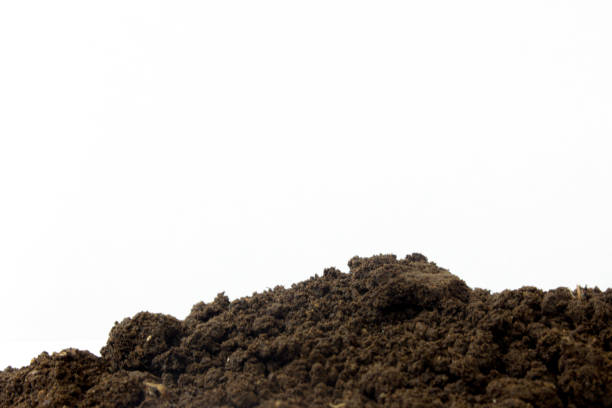 istock bio ground or soil substrate as frame or border isolated on white background. Place for text, copy space 1329459430