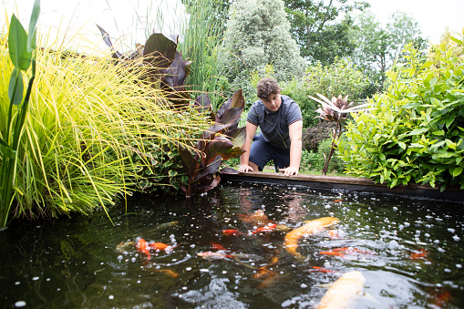Teenager standing by a man-made garden pond at home