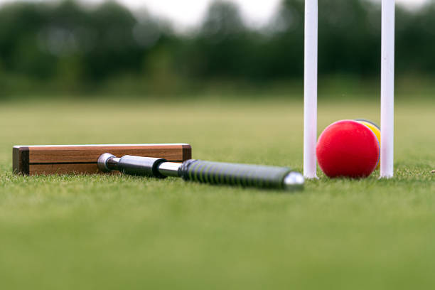 istock croquet mallet, wicket and colorful balls on a lawn 1329462982