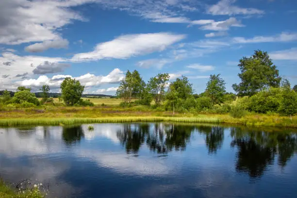 Pond and peat-bog in summer landscape under blue cloudy sky - Ore Mountains, Czech Republic, Europe
