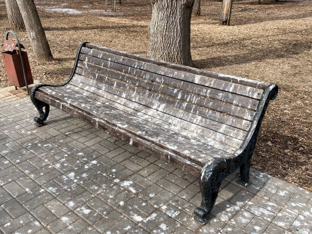 fientes d’oiseaux sur un banc dans un parc ou une rue, comme symbole de la mauvaise performance des services publics urbains ou d’une ville sale - dirty bench empty park photos et images de collection