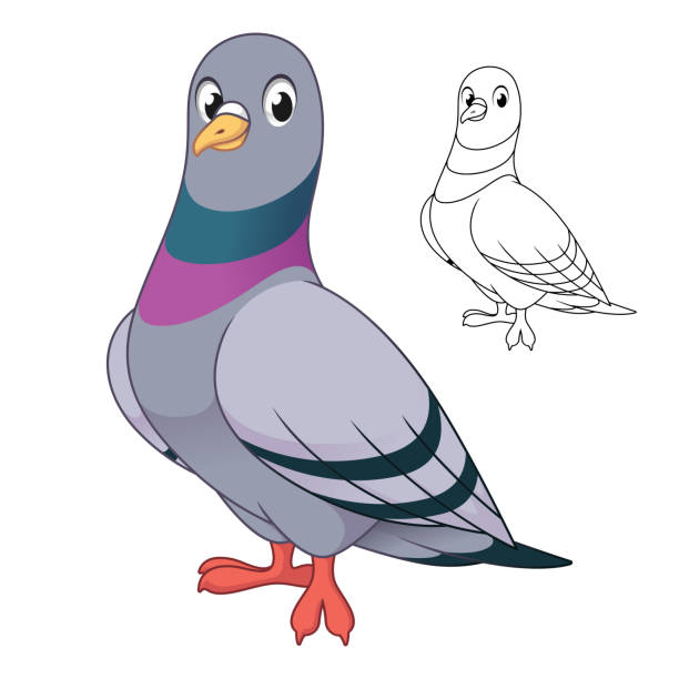 Funny Pigeon Cartoon Illustrations, Royalty-Free Vector Graphics & Clip Art  - iStock