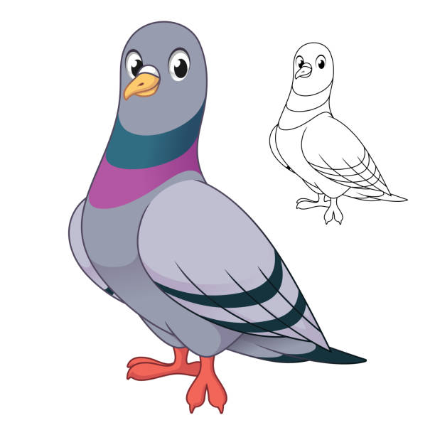 Funny Pigeon Cartoon Illustrations, Royalty-Free Vector Graphics & Clip Art - iStock Funny Pigeon Cartoon Illustrations, Royalty-Free Vector Graphics & Clip Art - iStock
