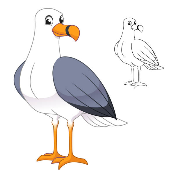 1,077 Cartoon Of A Funny Seagull Illustrations & Clip Art - iStock