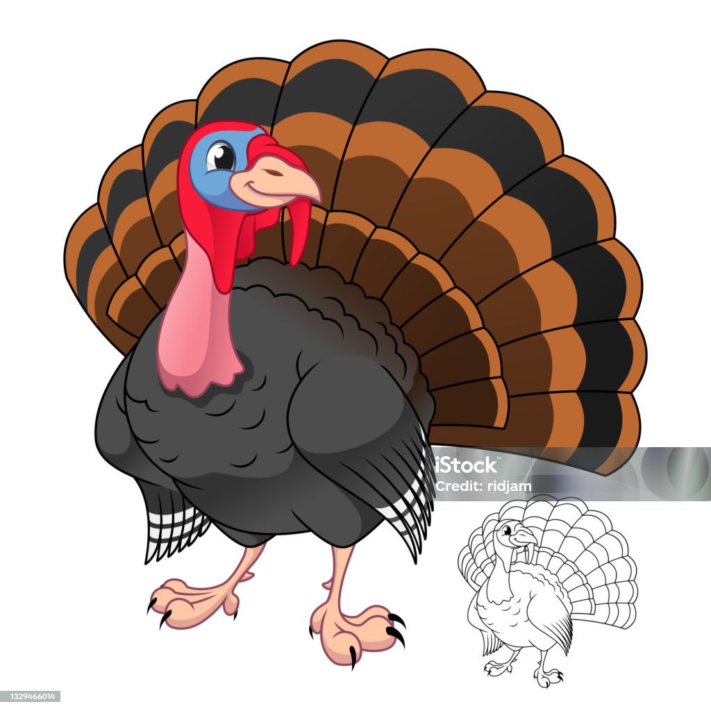 Male Turkey Bird With Line Art Drawing Animal Birds Stock Illustration - Download Image Now - iStock Male Turkey Bird With Line Art Drawing Animal Birds Stock Illustration - Download Image Now - iStock