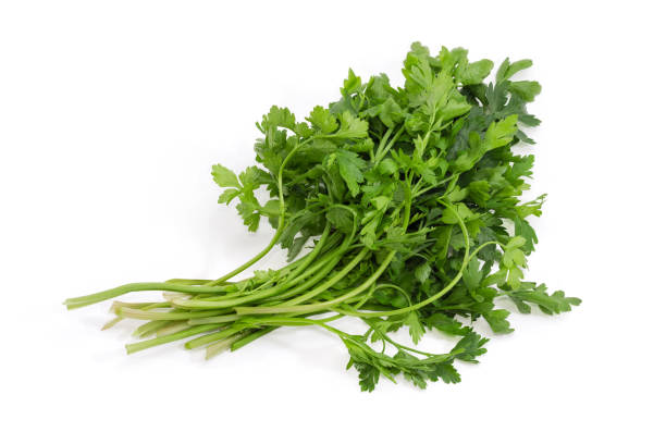 istock Bunch of fresh parsley on a white background 1329466128