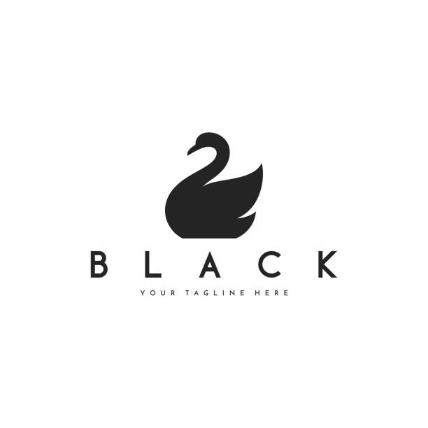 illustrazioni stock, clip art, cartoni animati e icone di tendenza di logo del cigno nero - black swan