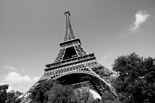 Paris, France - Eiffel Tower seen from the park. UNESCO World Heritage Site.