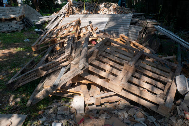 istock wood debris scattered in a garden 1329484339