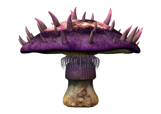 3D rendering of a fantasy mushroom isolated on white background