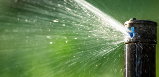 istock Nozzle of automatic lawn watering system, close-up. 1329485089