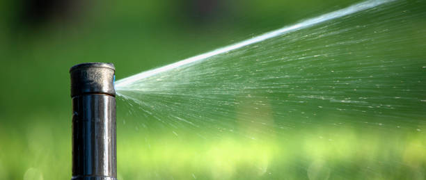 istock Nozzle of automatic lawn watering system, close-up. 1329485097